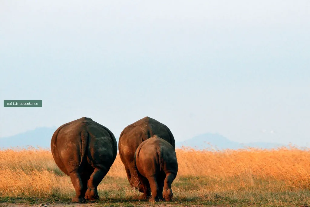 Laikipia Cycling & Conservancy Trail