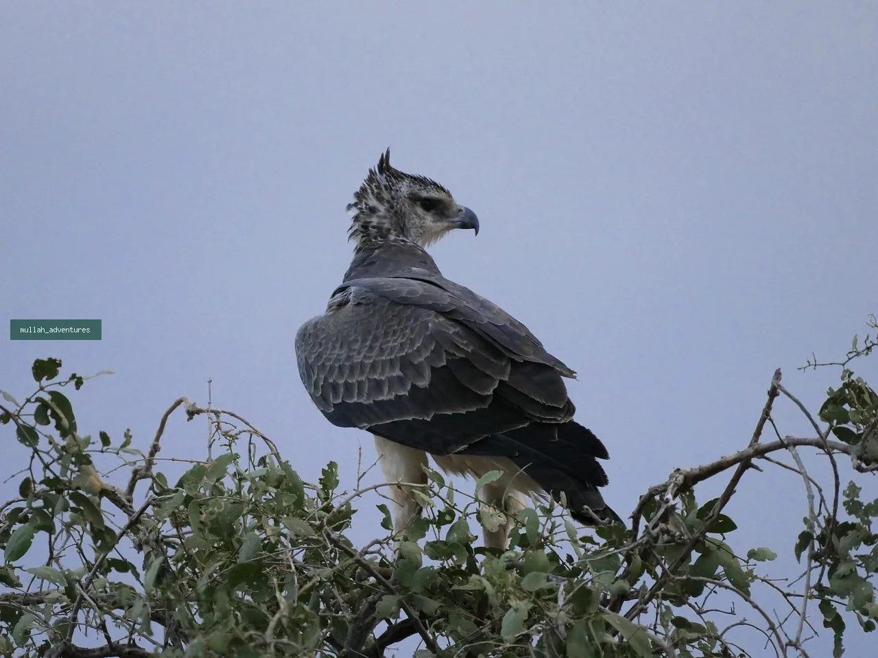 Mount Kenya Summit & Samburu Wildlife Trek