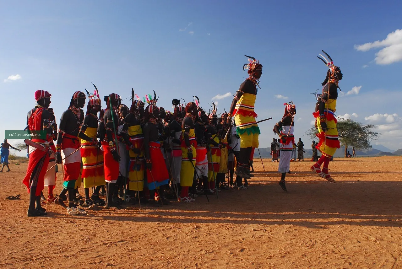 4-Day Samburu, Buffalo Springs & Ol Pejeta Private Safari