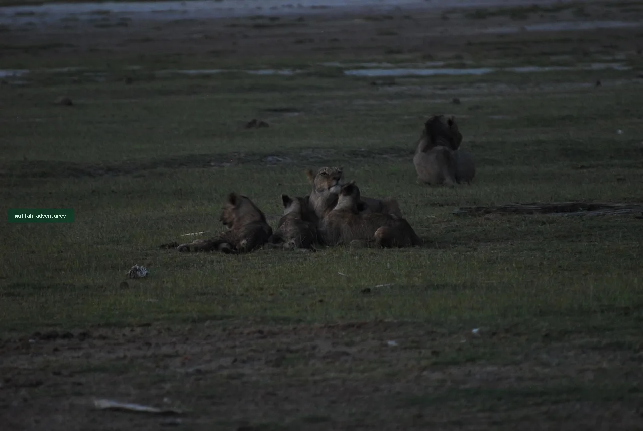 3-Day Amboseli Kilimanjaro & Elephant Private Safari
