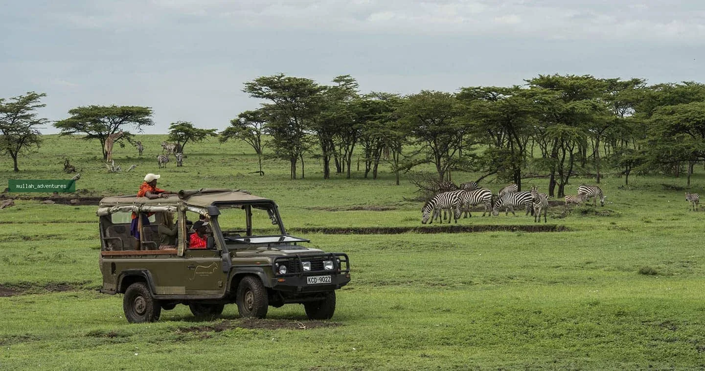 Mara North Conservancy game drive