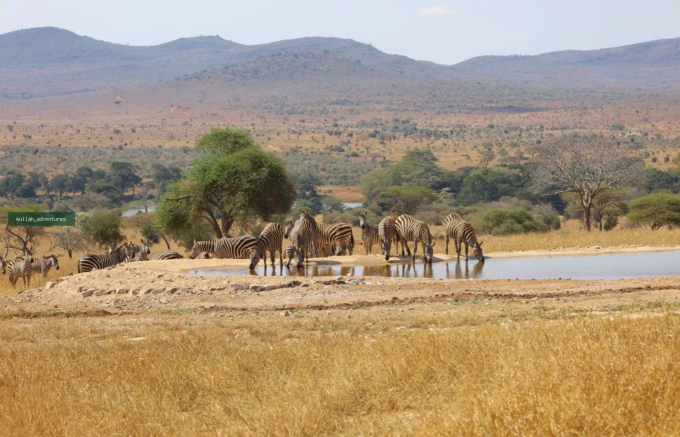 Taita Hills Wildlife Sanctuary