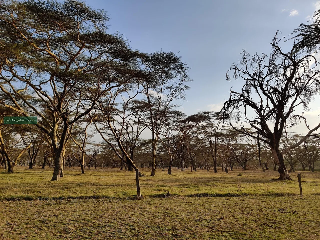 Rift Valley Birding & Walking Safari