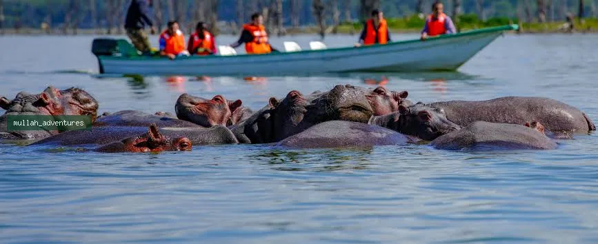 Boatride at Lake Naivasha