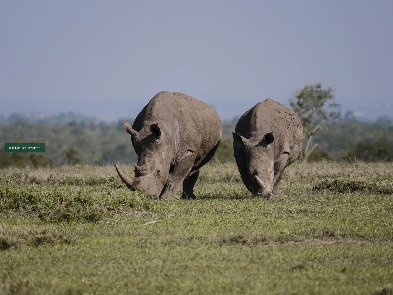 Laikipia Cycling & Conservancy Trail