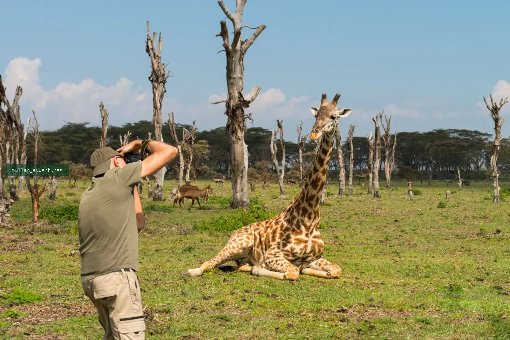 Grand Kenya Photographic Explorer