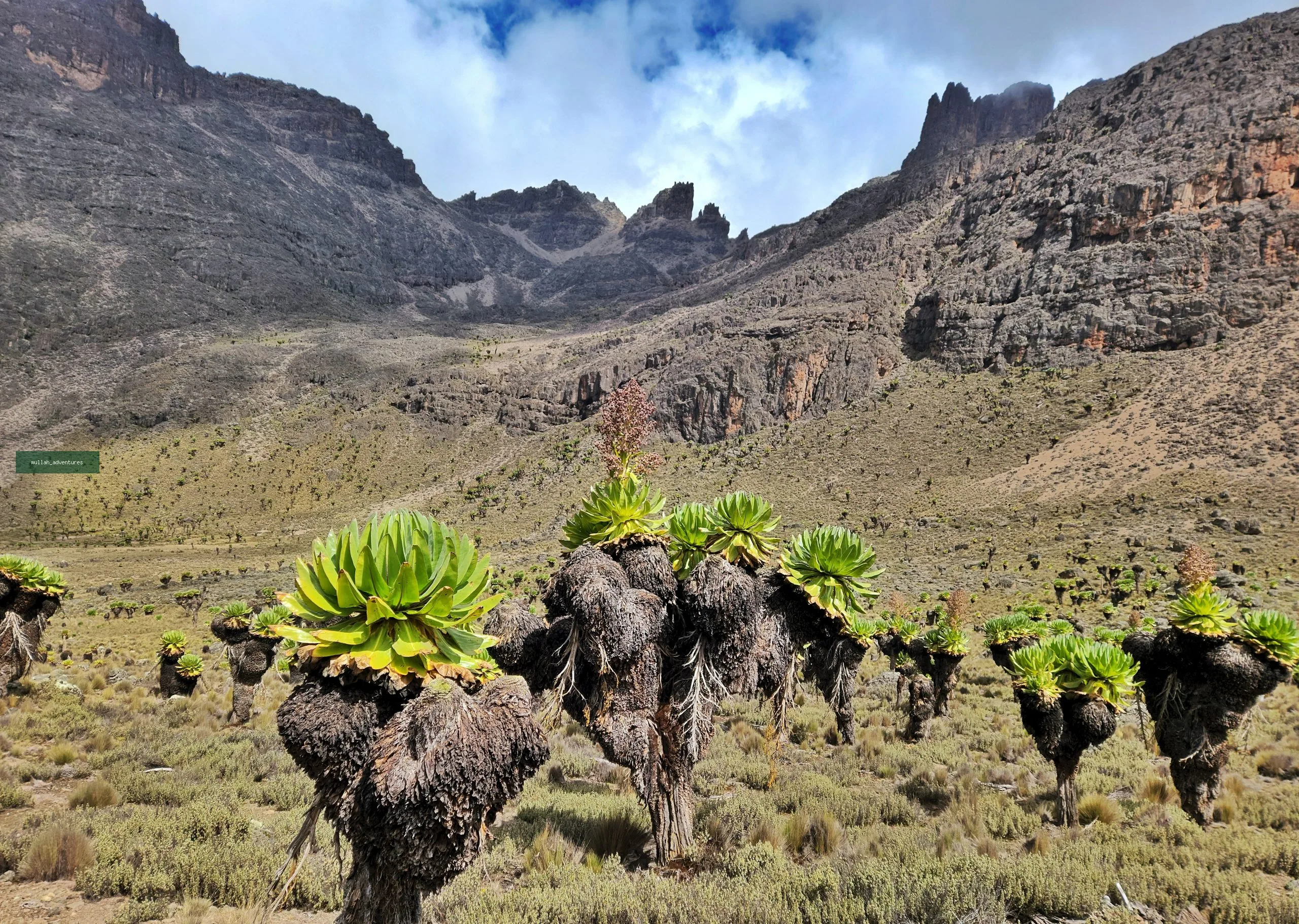 Mount Kenya National Park
