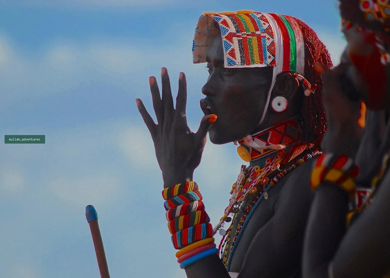 4-Day Samburu, Buffalo Springs & Ol Pejeta Private Safari