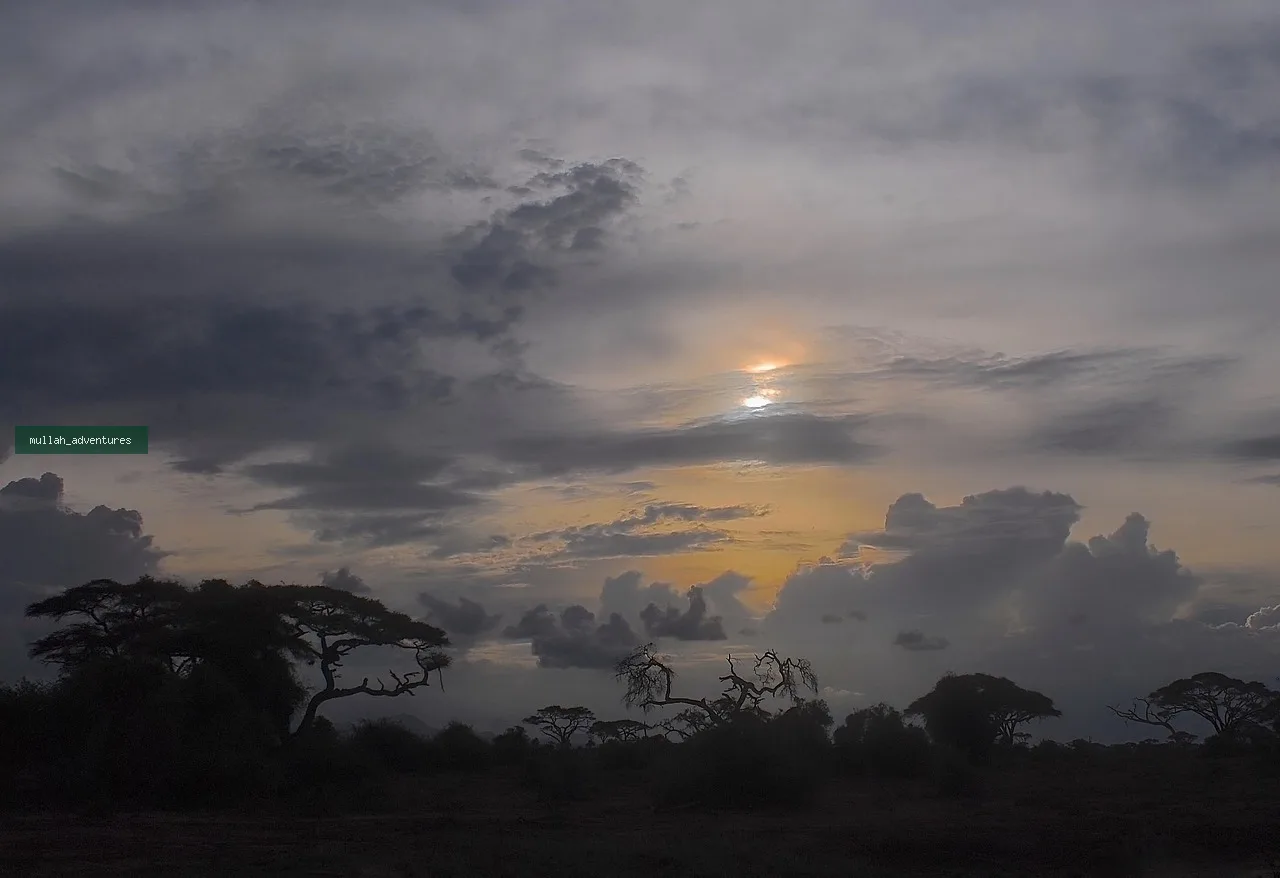Grand Kenya Photographic Explorer