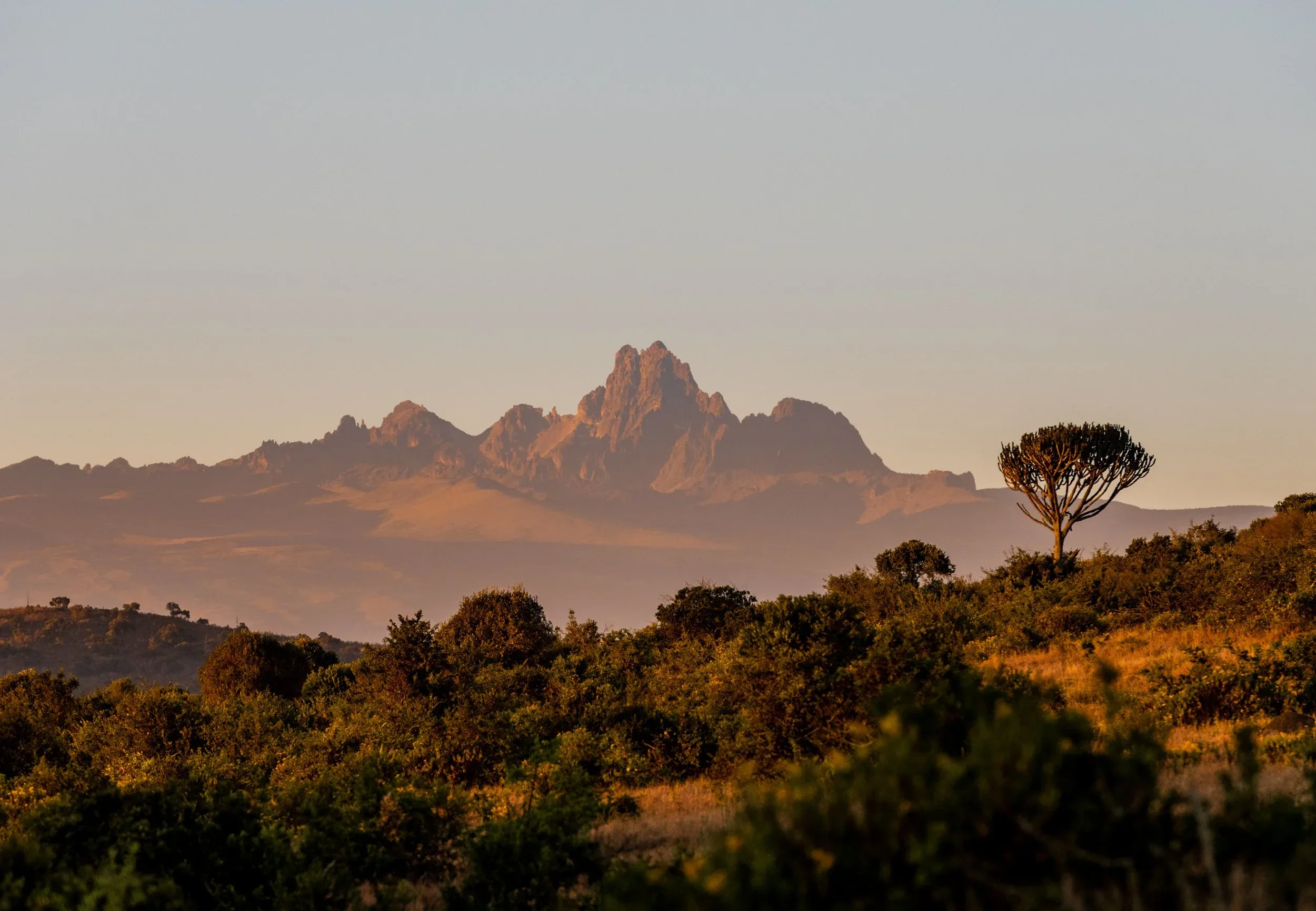 the borana conservancy