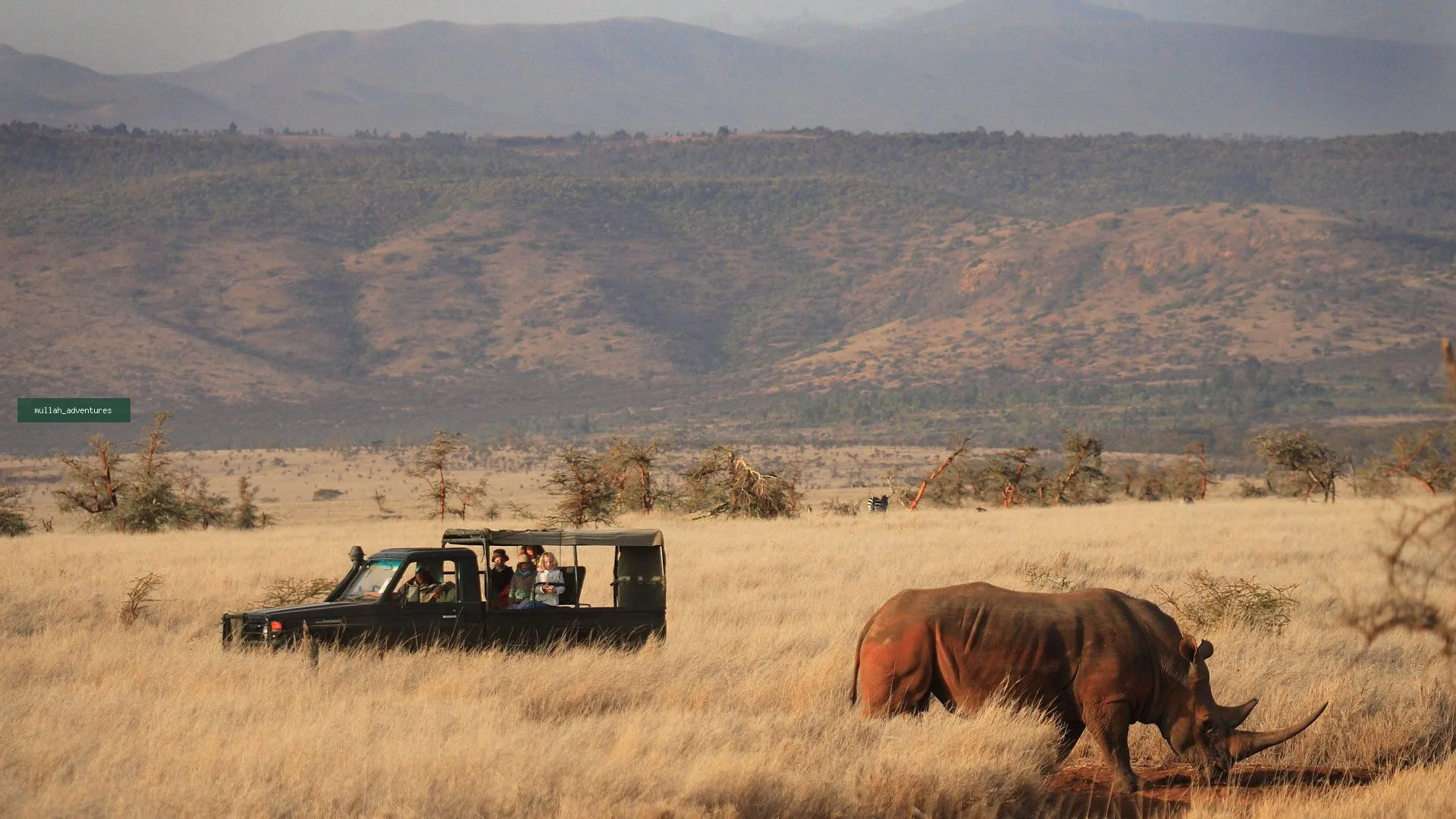 Lewa Wildlife Conservancy